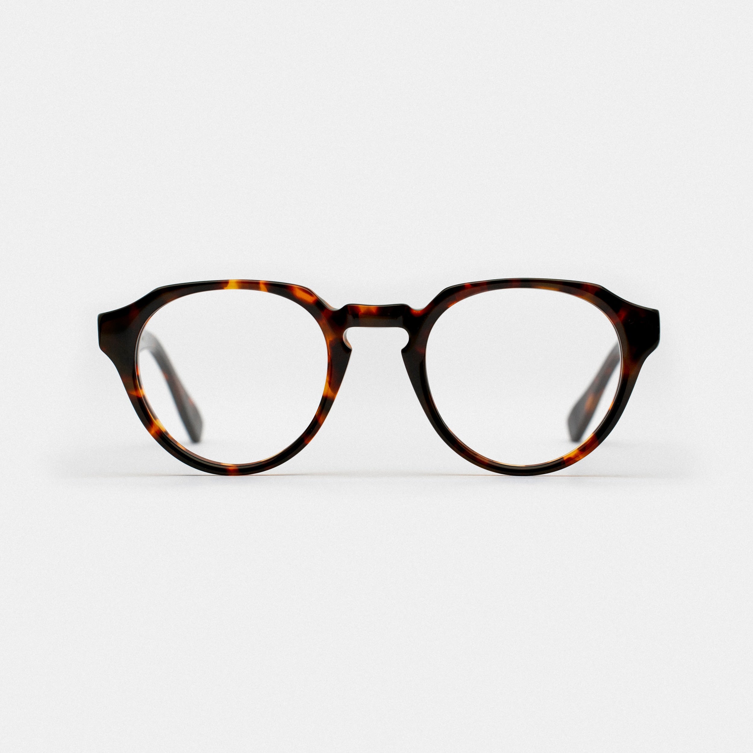 Saudade Tortoise